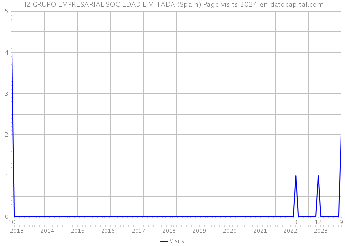 H2 GRUPO EMPRESARIAL SOCIEDAD LIMITADA (Spain) Page visits 2024 