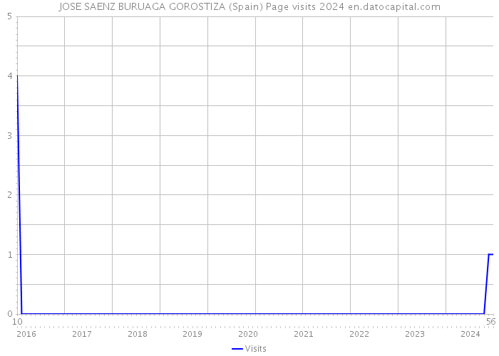 JOSE SAENZ BURUAGA GOROSTIZA (Spain) Page visits 2024 