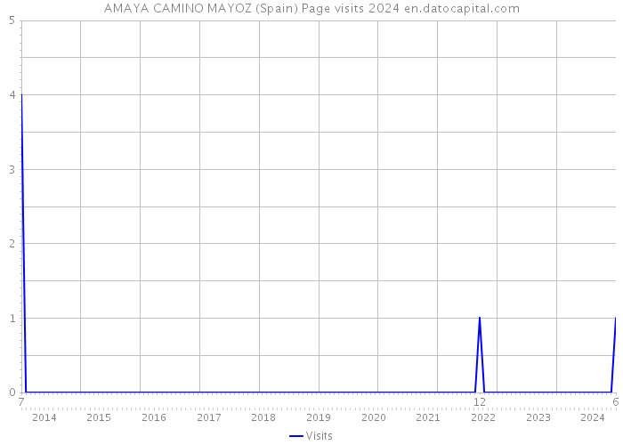 AMAYA CAMINO MAYOZ (Spain) Page visits 2024 