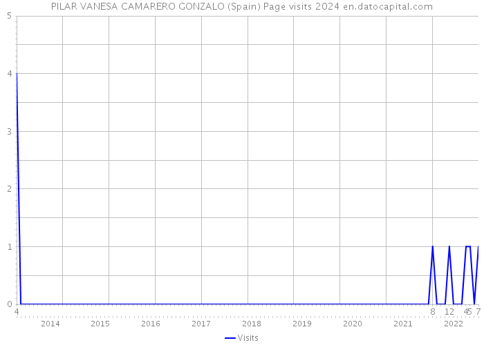 PILAR VANESA CAMARERO GONZALO (Spain) Page visits 2024 