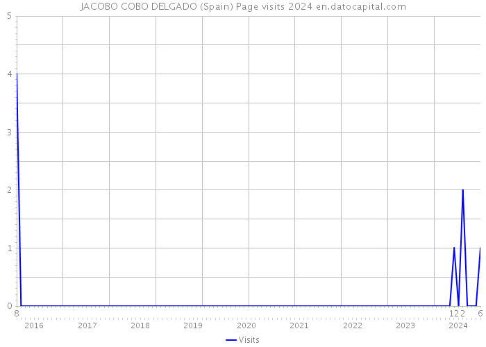 JACOBO COBO DELGADO (Spain) Page visits 2024 