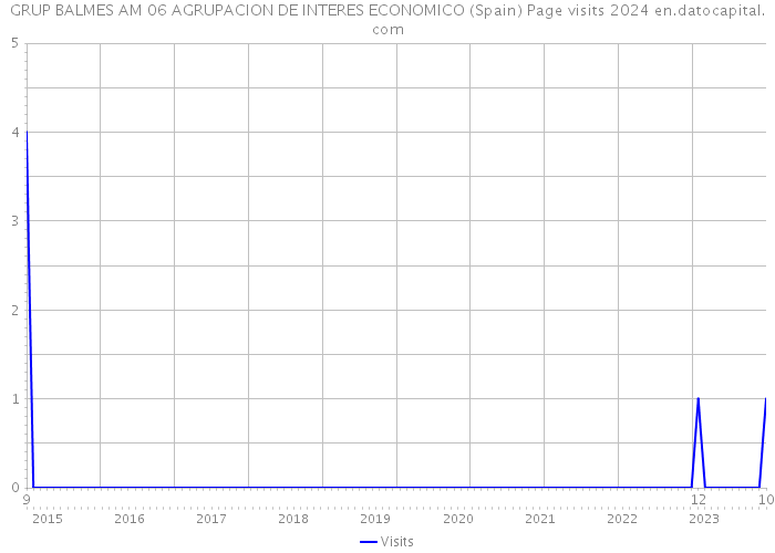 GRUP BALMES AM 06 AGRUPACION DE INTERES ECONOMICO (Spain) Page visits 2024 