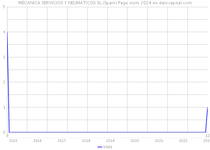 MECANICA SERVICIOS Y NEUMATICOS SL (Spain) Page visits 2024 