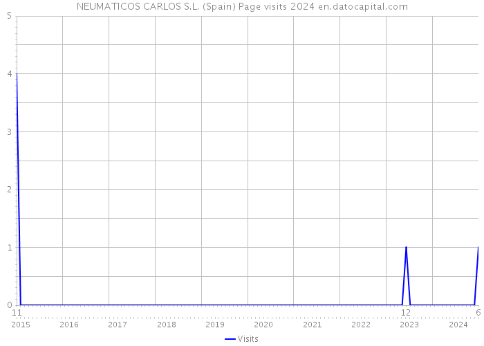 NEUMATICOS CARLOS S.L. (Spain) Page visits 2024 