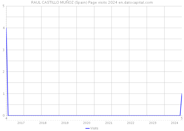 RAUL CASTILLO MUÑOZ (Spain) Page visits 2024 