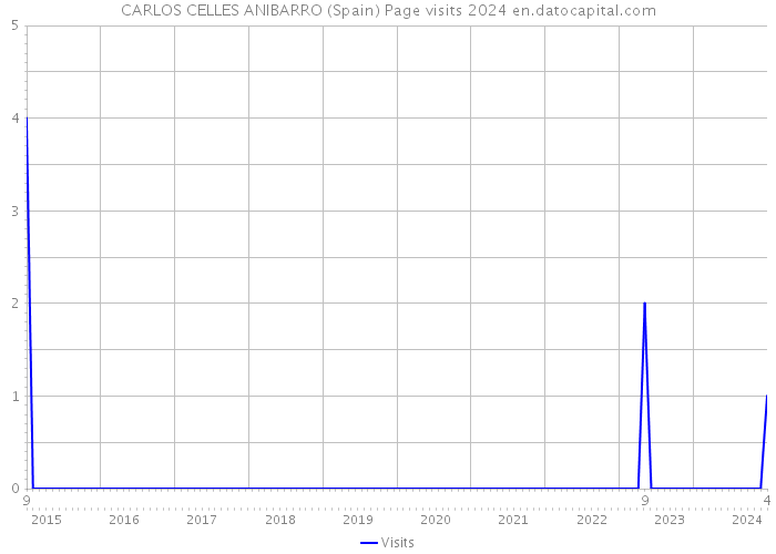CARLOS CELLES ANIBARRO (Spain) Page visits 2024 