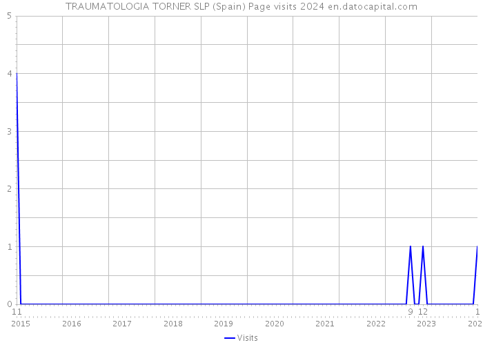 TRAUMATOLOGIA TORNER SLP (Spain) Page visits 2024 