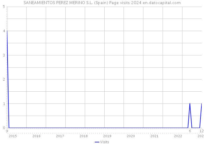 SANEAMIENTOS PEREZ MERINO S.L. (Spain) Page visits 2024 