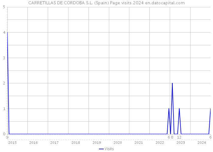 CARRETILLAS DE CORDOBA S.L. (Spain) Page visits 2024 