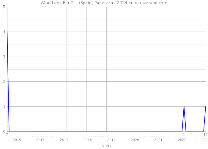 What Look For S.L. (Spain) Page visits 2024 