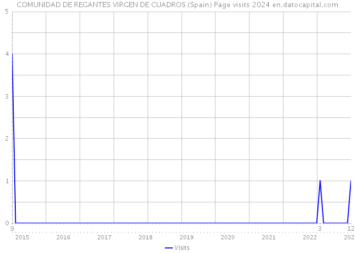 COMUNIDAD DE REGANTES VIRGEN DE CUADROS (Spain) Page visits 2024 
