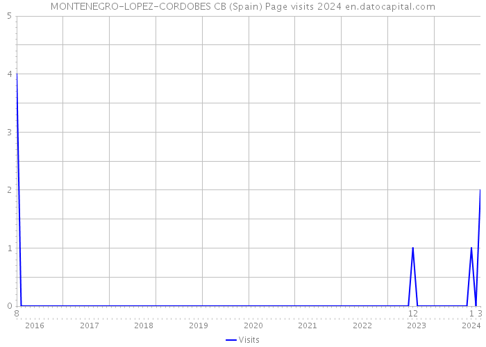 MONTENEGRO-LOPEZ-CORDOBES CB (Spain) Page visits 2024 