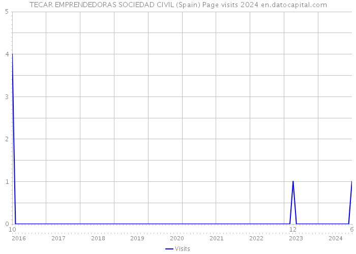 TECAR EMPRENDEDORAS SOCIEDAD CIVIL (Spain) Page visits 2024 