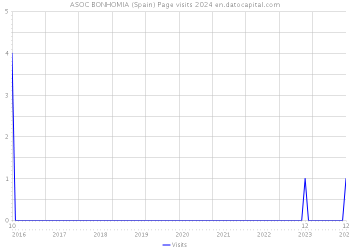 ASOC BONHOMIA (Spain) Page visits 2024 