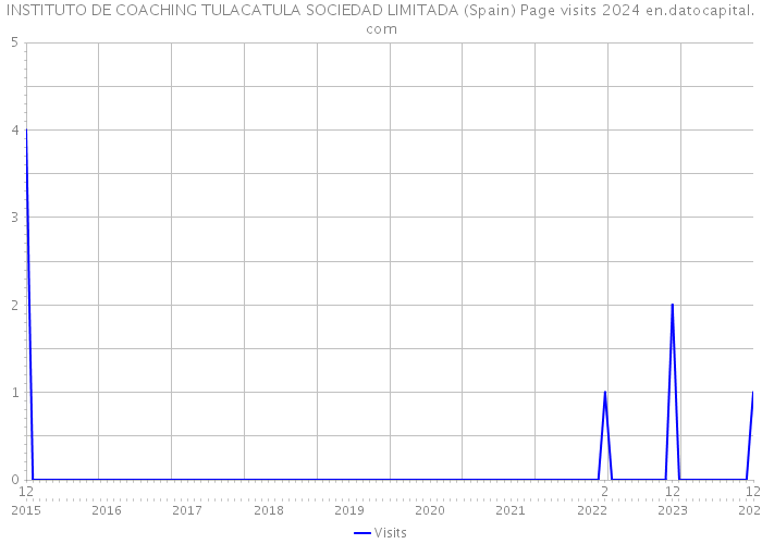 INSTITUTO DE COACHING TULACATULA SOCIEDAD LIMITADA (Spain) Page visits 2024 