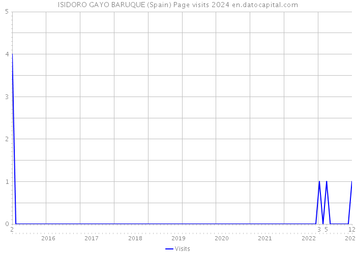 ISIDORO GAYO BARUQUE (Spain) Page visits 2024 