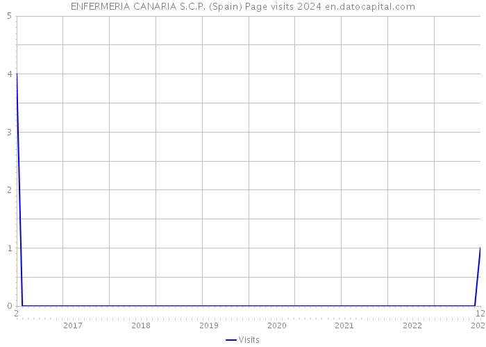 ENFERMERIA CANARIA S.C.P. (Spain) Page visits 2024 
