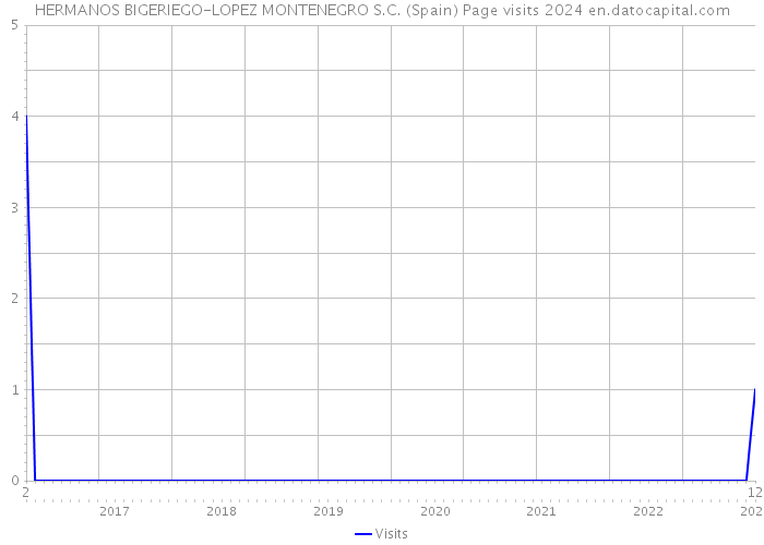 HERMANOS BIGERIEGO-LOPEZ MONTENEGRO S.C. (Spain) Page visits 2024 