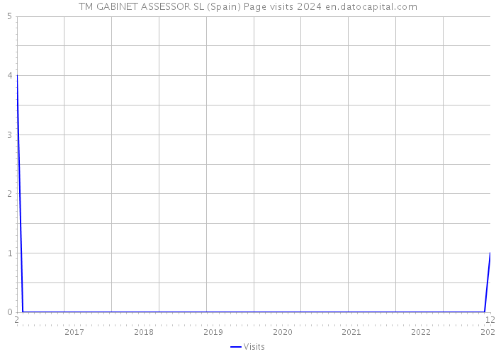 TM GABINET ASSESSOR SL (Spain) Page visits 2024 