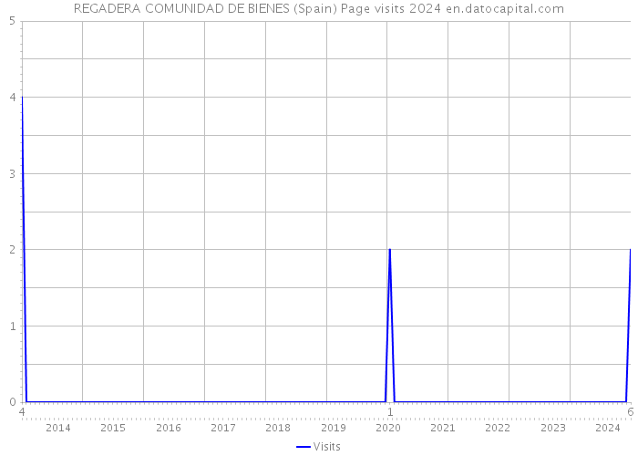 REGADERA COMUNIDAD DE BIENES (Spain) Page visits 2024 