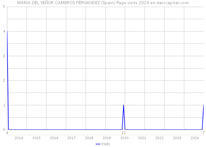 MARIA DEL SEÑOR CAMEROS FERNANDEZ (Spain) Page visits 2024 