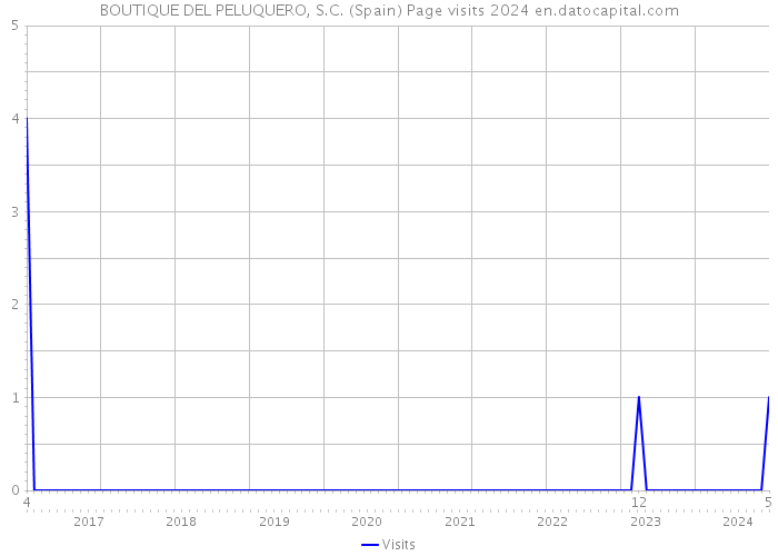 BOUTIQUE DEL PELUQUERO, S.C. (Spain) Page visits 2024 