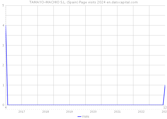 TAMAYO-MACHIO S.L. (Spain) Page visits 2024 