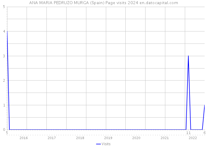 ANA MARIA PEDRUZO MURGA (Spain) Page visits 2024 