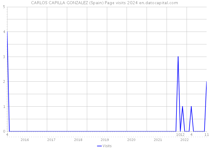 CARLOS CAPILLA GONZALEZ (Spain) Page visits 2024 