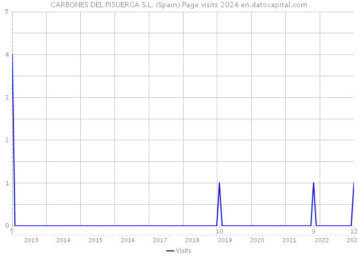 CARBONES DEL PISUERGA S.L. (Spain) Page visits 2024 