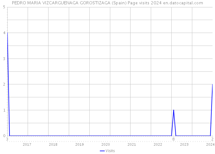 PEDRO MARIA VIZCARGUENAGA GOROSTIZAGA (Spain) Page visits 2024 