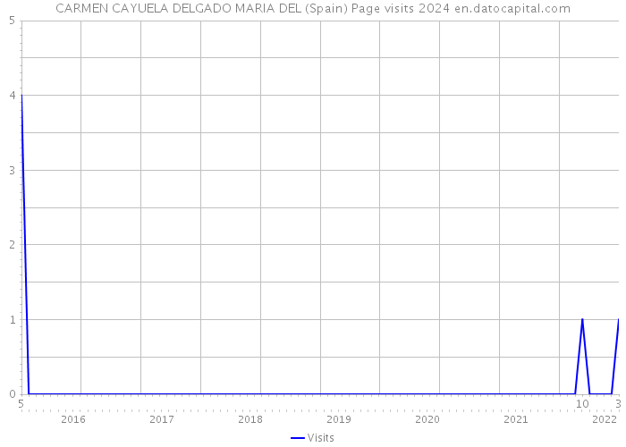 CARMEN CAYUELA DELGADO MARIA DEL (Spain) Page visits 2024 