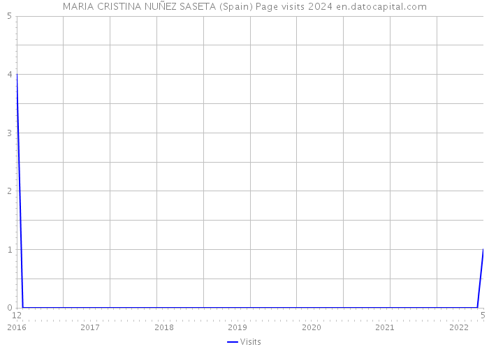 MARIA CRISTINA NUÑEZ SASETA (Spain) Page visits 2024 