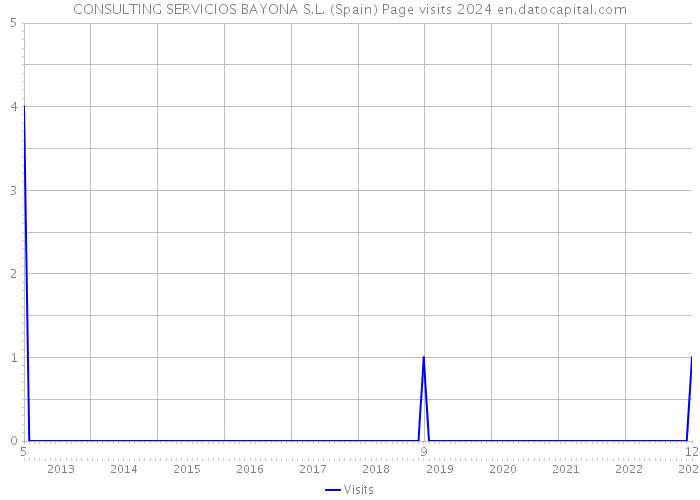 CONSULTING SERVICIOS BAYONA S.L. (Spain) Page visits 2024 