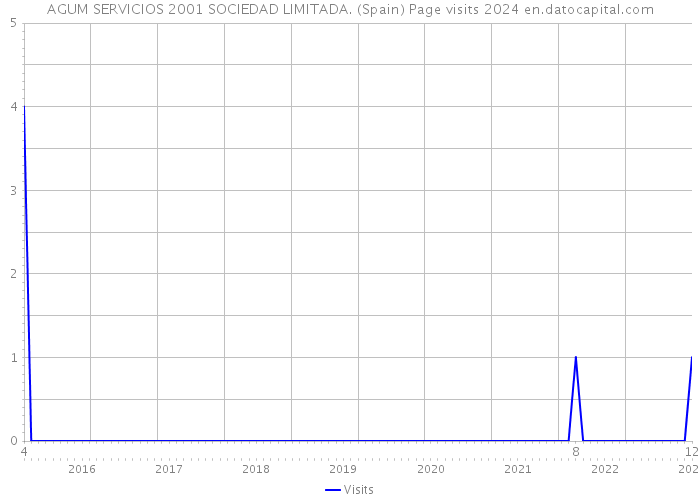 AGUM SERVICIOS 2001 SOCIEDAD LIMITADA. (Spain) Page visits 2024 