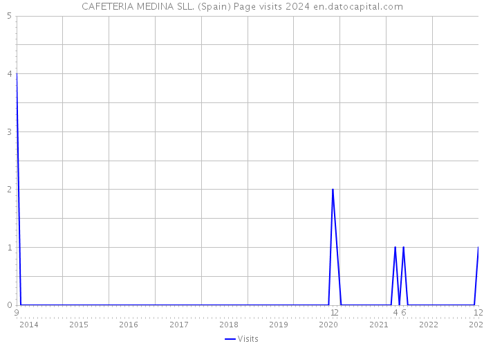 CAFETERIA MEDINA SLL. (Spain) Page visits 2024 