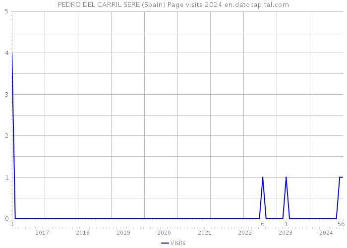 PEDRO DEL CARRIL SERE (Spain) Page visits 2024 