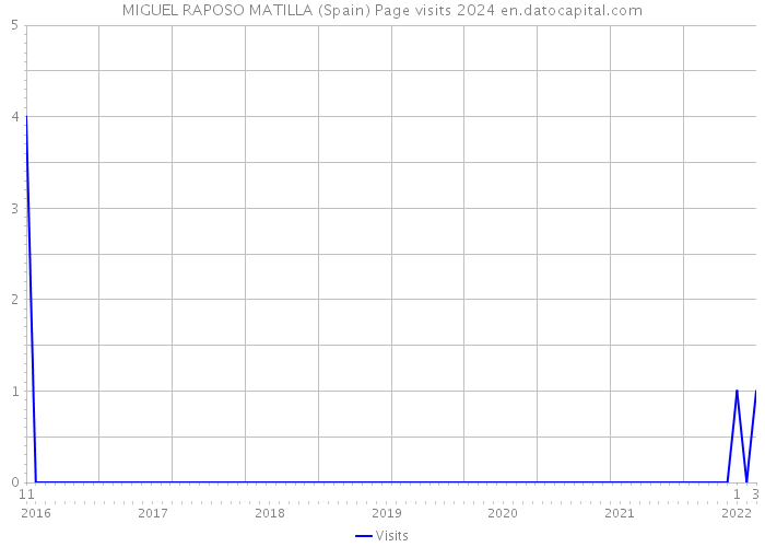 MIGUEL RAPOSO MATILLA (Spain) Page visits 2024 