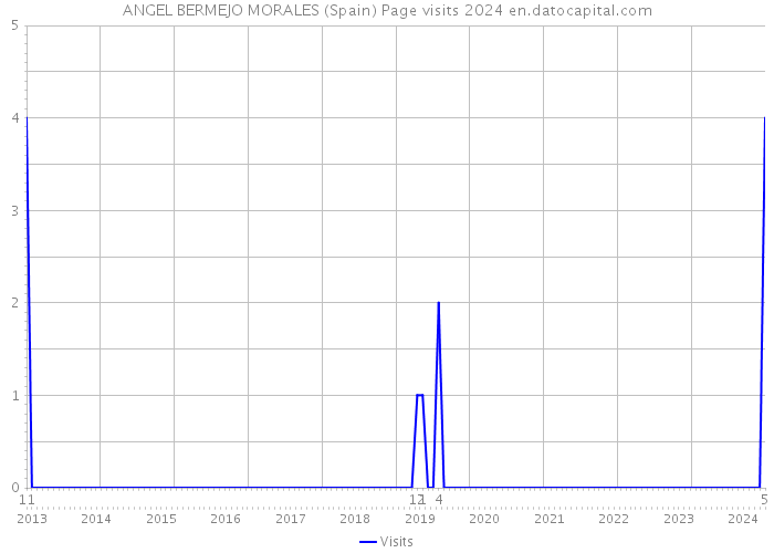ANGEL BERMEJO MORALES (Spain) Page visits 2024 