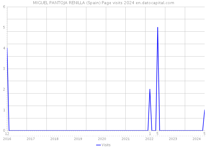 MIGUEL PANTOJA RENILLA (Spain) Page visits 2024 