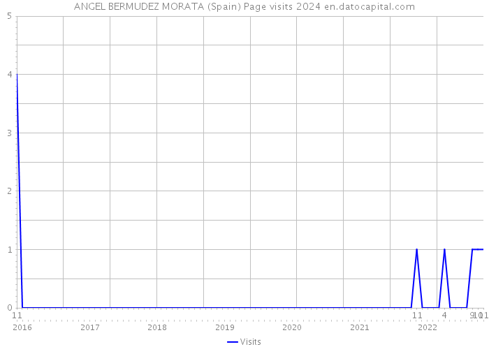 ANGEL BERMUDEZ MORATA (Spain) Page visits 2024 