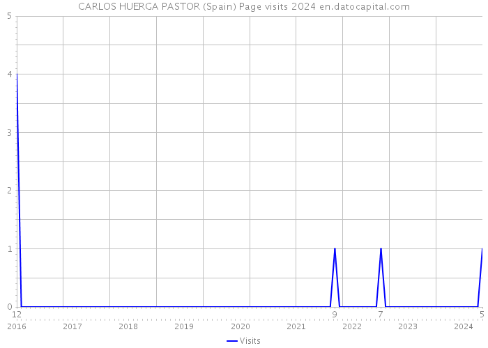 CARLOS HUERGA PASTOR (Spain) Page visits 2024 