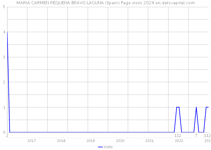 MARIA CARMEN REQUENA BRAVO LAGUNA (Spain) Page visits 2024 