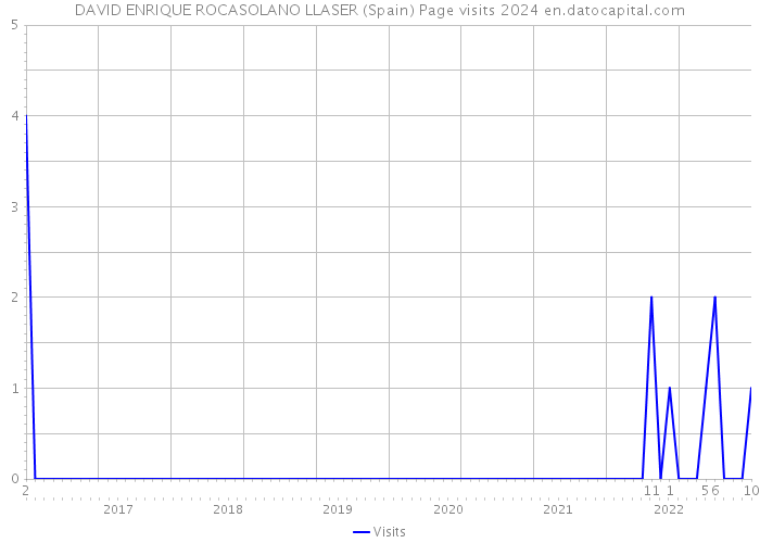 DAVID ENRIQUE ROCASOLANO LLASER (Spain) Page visits 2024 