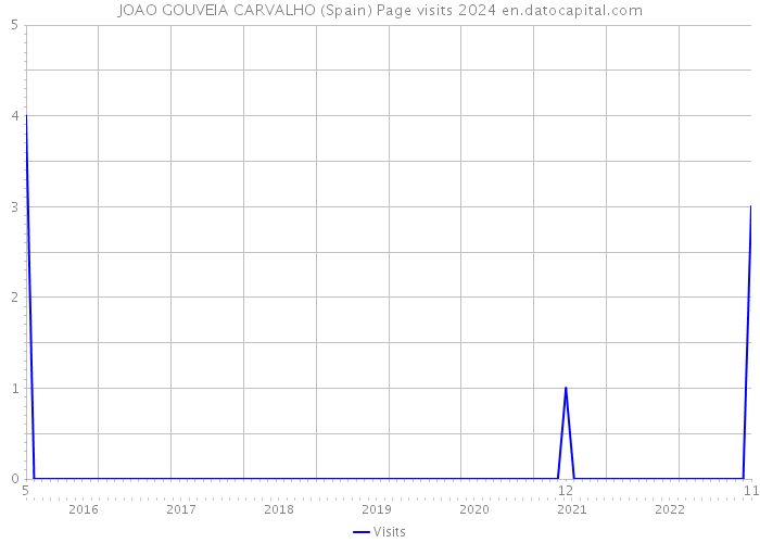 JOAO GOUVEIA CARVALHO (Spain) Page visits 2024 