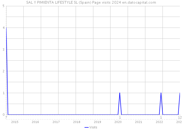 SAL Y PIMIENTA LIFESTYLE SL (Spain) Page visits 2024 