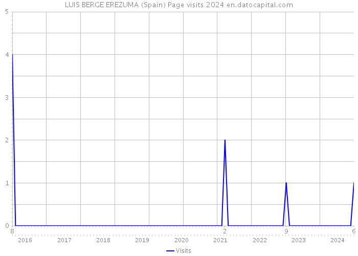 LUIS BERGE EREZUMA (Spain) Page visits 2024 