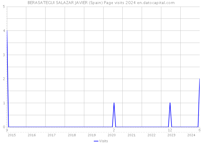 BERASATEGUI SALAZAR JAVIER (Spain) Page visits 2024 
