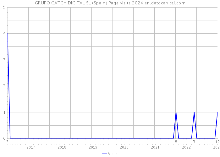 GRUPO CATCH DIGITAL SL (Spain) Page visits 2024 