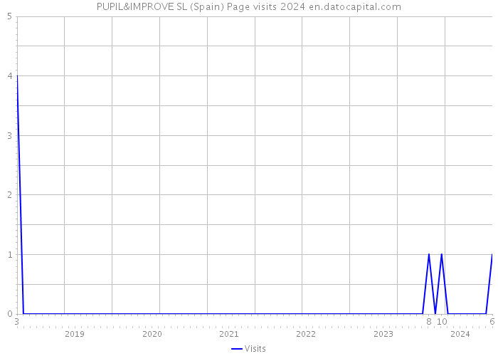 PUPIL&IMPROVE SL (Spain) Page visits 2024 